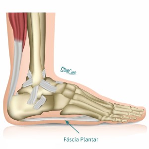 fascia_plantar